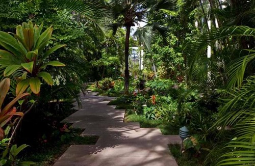 Waialae Iki Condo | Kahala Beach #446 Vacation Rental