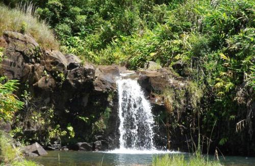 Hilo Cabin | Kikala Waterfall Lodge