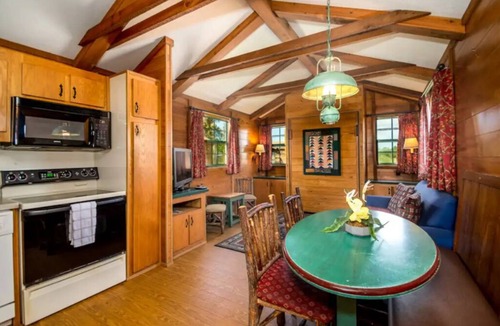 Seminole Cabin | Lakefront Cabin #403, 10mins to Beach/Pet Friendly/Prime Location/BOOK TODAY
