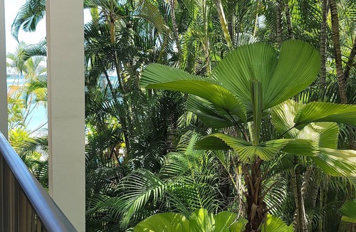 Kahala Apartment | Large 2BD/2BA Kahala Beach Front Condo Furnished