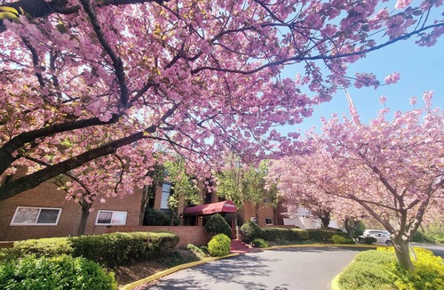 Elkins Park Apartment | Large and Comfortable, 1BR Monthly Discount