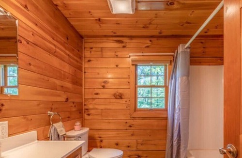 Old Town Cabin | Modern Lakefront Cabin with Hot Tub & Amazing View