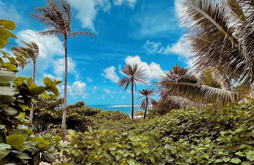 Pupukea House | North Shore BEACHFRONT Bungalo Perfection @ Sunset Beach