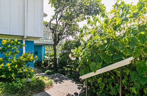 Hilo House | Oceanfront in Hilo Hale Kai Suites Bamboo Room - King Bed, Private Bathroom