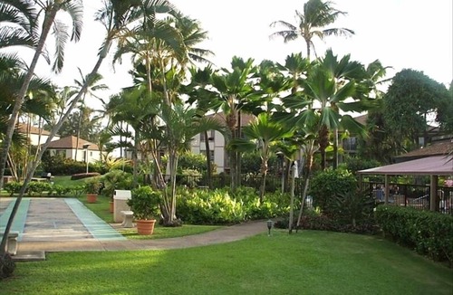 Kapaa Condo | PERFECT KAUAI Condo! Steps from Beach/2bd2bth Washer/Dryer AC -Free Parking