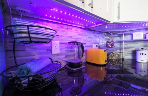 Palm Harbor Apartment | Pvt Pool, Free Kayaks, Steps to Gulf, Fish, Bike Trail +