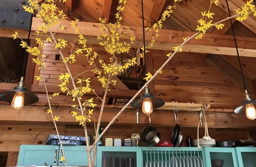 Upper Black Eddy Cabin | Rare private cabin retreat surrounded by 1700 acres of woods, yet close to town.