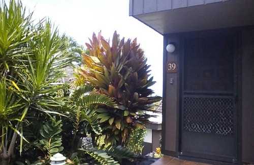 Punaluu Condo | Relaxing Studio Condo Getaway, Minutes From Black Sand Beach *Newly Renovated*