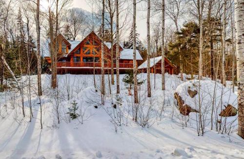 Carrabassett Valley House | Snow Lion