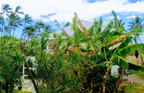 Ewa House | Spacious Ewa Beach Guesthouse On Beachfront Lot 30-day minimum.