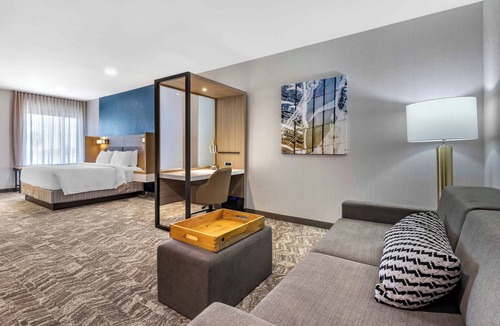 Placentia Hotel | SpringHill Suites by Marriott Anaheim Placentia/Fullerton