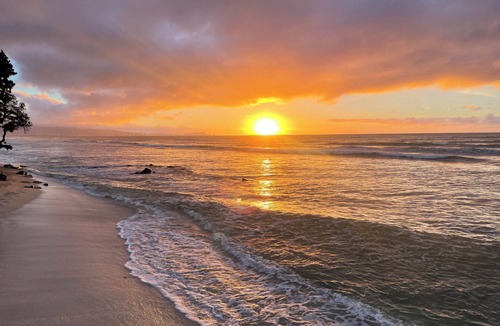 Ewa Beach Cottage | Studio by the ocean. Oceanfront property with WiFi, AC, parking, great location.