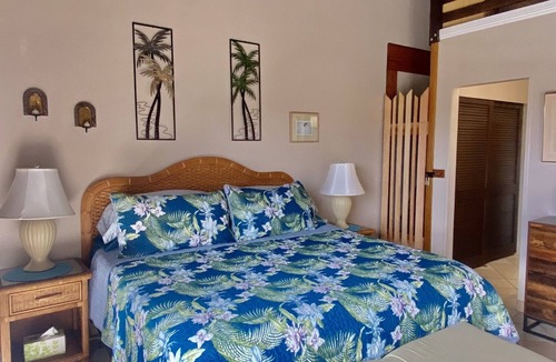 Maunaloa Condo | Summer Specials! Unobstructed Full Ocean Views in Amazing Upstairs 2/2 Unit