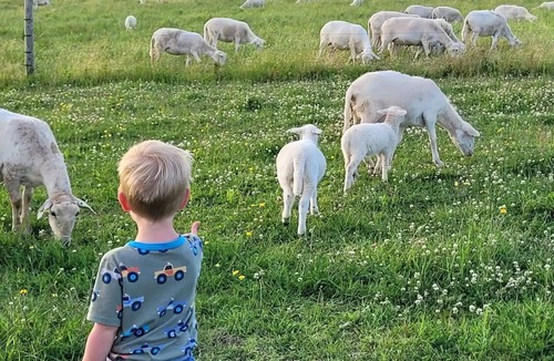 Andover House | Sunsets, Stars, Sleep near the Animals. Centrally located to many rural towns.
