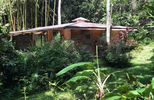 Kapoho Cabin | The Rose Cottage