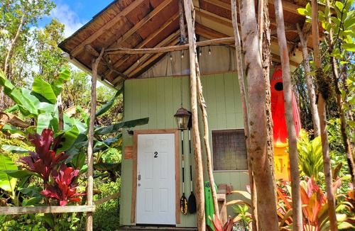 Fern Forest Cabin | tiny home 2 rustic with kitchen near Volcano National Park