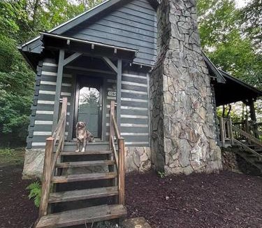 Cedar Mountain House | Treetop Cabin