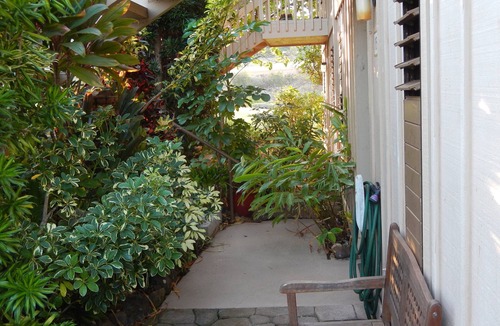 Maunaloa Condo | Unobstructed Ocean View - Lovely 1/1