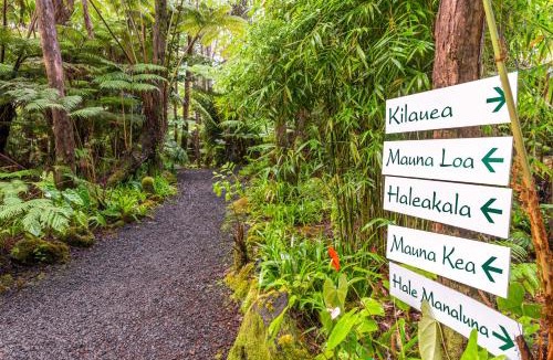 Volcano Bed & Breakfast | Volcano Village Lodge