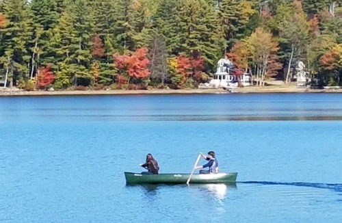 Dryden Apartment | Wilson Lake Waterfront Inn | Kayak & Canoe, Lake Views, WiFi & Porch