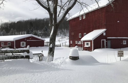 Bovina Center House | Winniebrook Farm - A beautiful 16 acre countryside farmstead