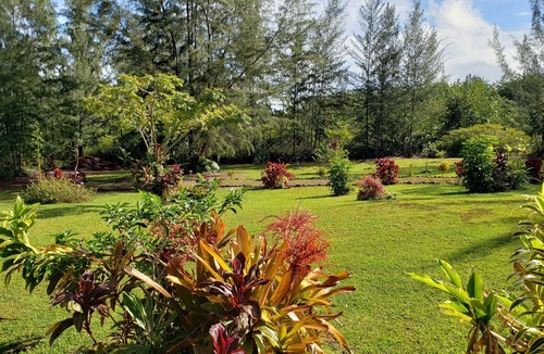 Keaau House | Your Very Own Private Hawaiian Resort - Top-Rated, Fully STVR Permitted