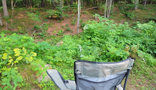 Adirondack Getaway Minutes from Whiteface/Ironman