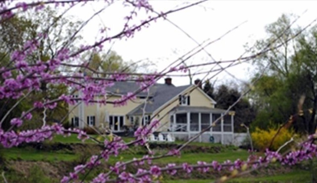 Beautiful 3 Bedroom Farmhouse with Pool, Pond and Vegetable Garden