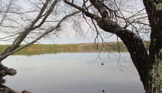 Belgrade Lakes Salmon Waterfront cottage