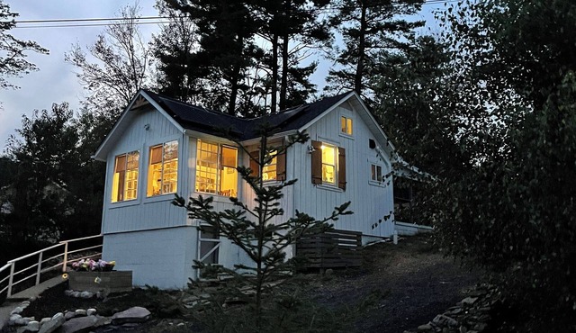 Bird Songs, Come Listen Awhile – Perfect for Remote Work & Weekend Getaways