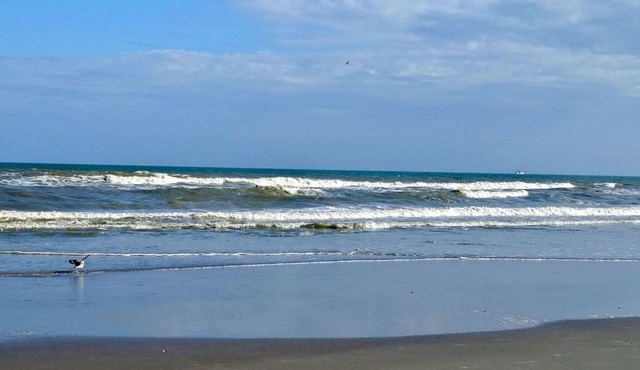 Book for the Spring! Reasonable Resort Living, One block to Beach!