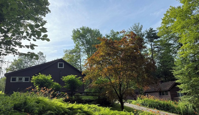 Butterfly Bungalow! Charming 2-bedroom Cabin and Studio in delightful Otis, MA
