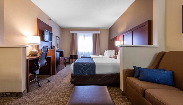 Comfort Suites Rochester Henrietta University Area