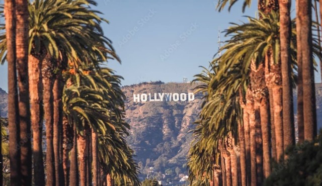 Contemporary Hollywood Apt w/Pool & Iconic views