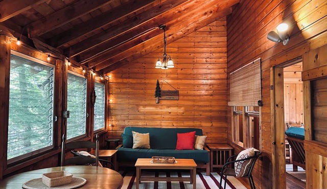 Cozy Lakefront Cabin on Echo Lake, Mount Vernon. Dock, fire pit, Pet-Friendly!