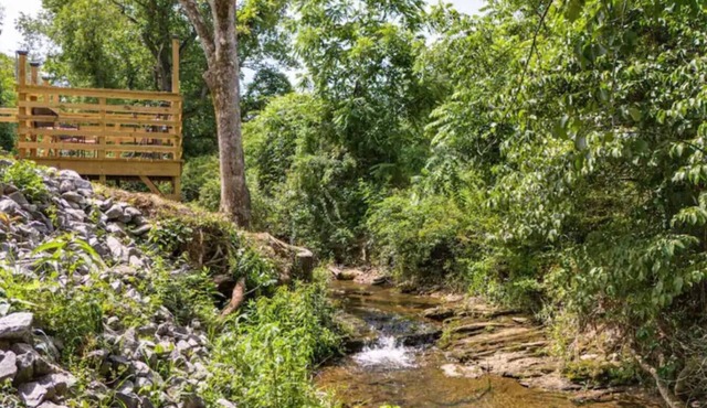 Creekside Joy- Beautiful Home,20 Min to Asheville