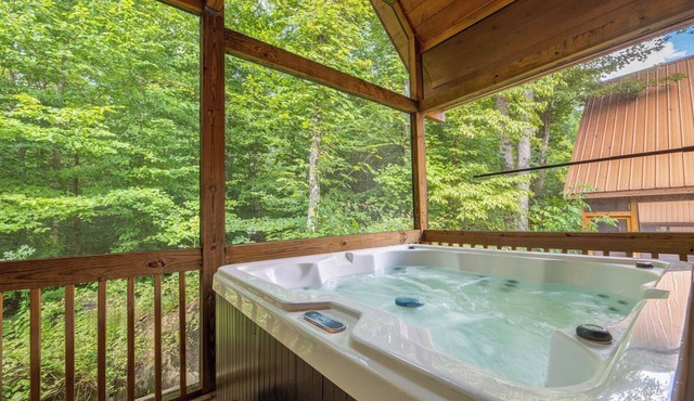 Dancing Bear Hideaway - Hot Tub, Resort Pool & Wooded Mountain Retreat