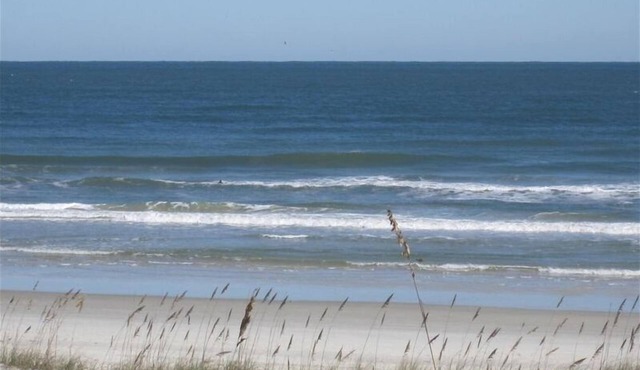 Direct Oceanfront & private, dog friendly, 2BR house, July/August availability.
