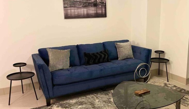 Entire Apt:Luxurious 5-star Downtown High Rise