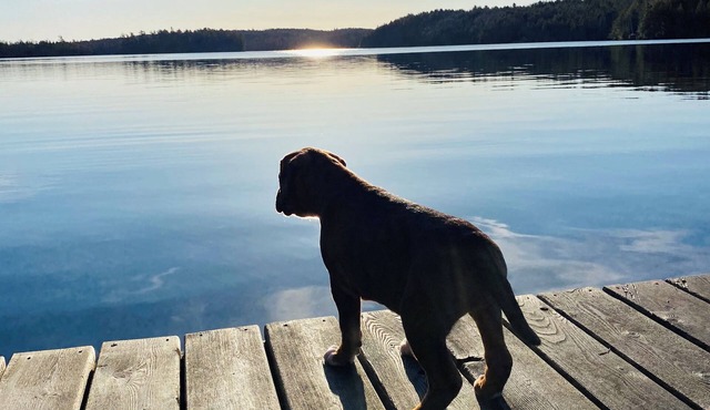 Escape to Bear Cove: Your Cozy Lakeside Getaway on Meddybemps Lake! 🌲🏞️