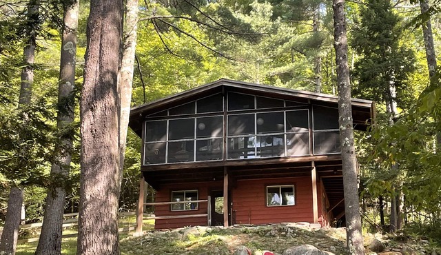 Forest Hideaway