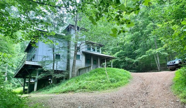 Fork Inn's Parrot House in the Woods PH