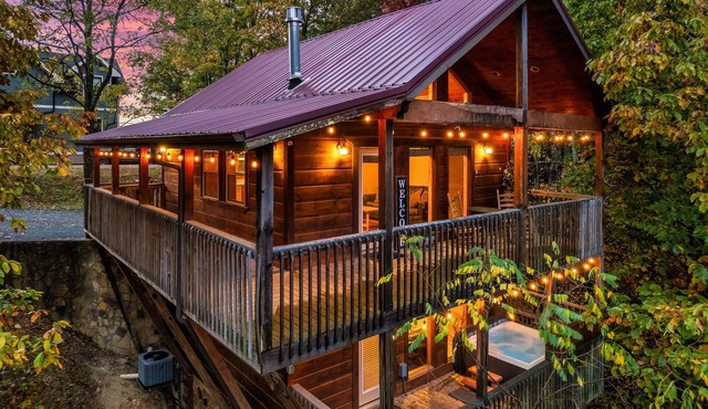 Free Dollywood Tix+MtnViews+Pool+Couples+DogsOK