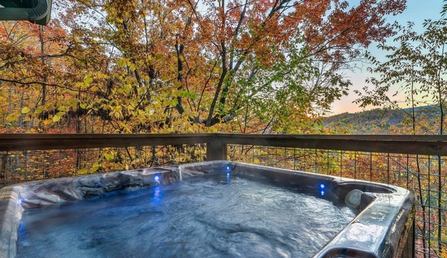 FreeDollywoodTix+Pool+Secluded+Modern+HotTub