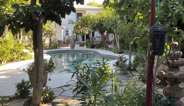 Garden with two hundred fruit trees and swimming pool