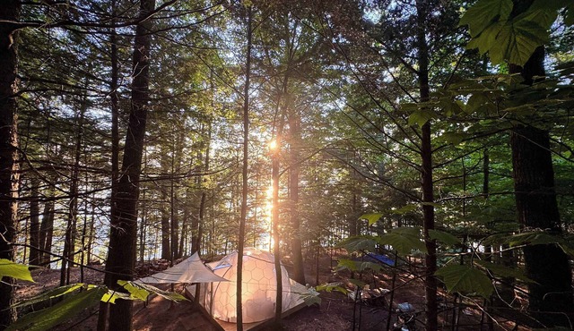Hammock Haven Island Dome