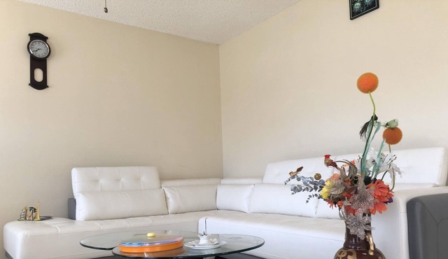 Jacksonville Affordable living