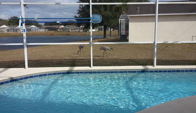 Lake view Home/Private Pool/Free WiFi near Disney World