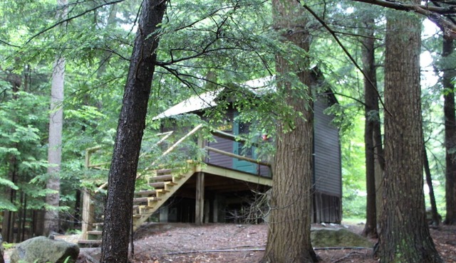 "Like a treehouse!" Adirondack Pet Friendly Cabin Suitable For 2 | Lake Access
