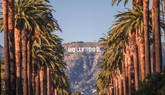 Modern Hollywood Apt with Pool, Spa & Great Views